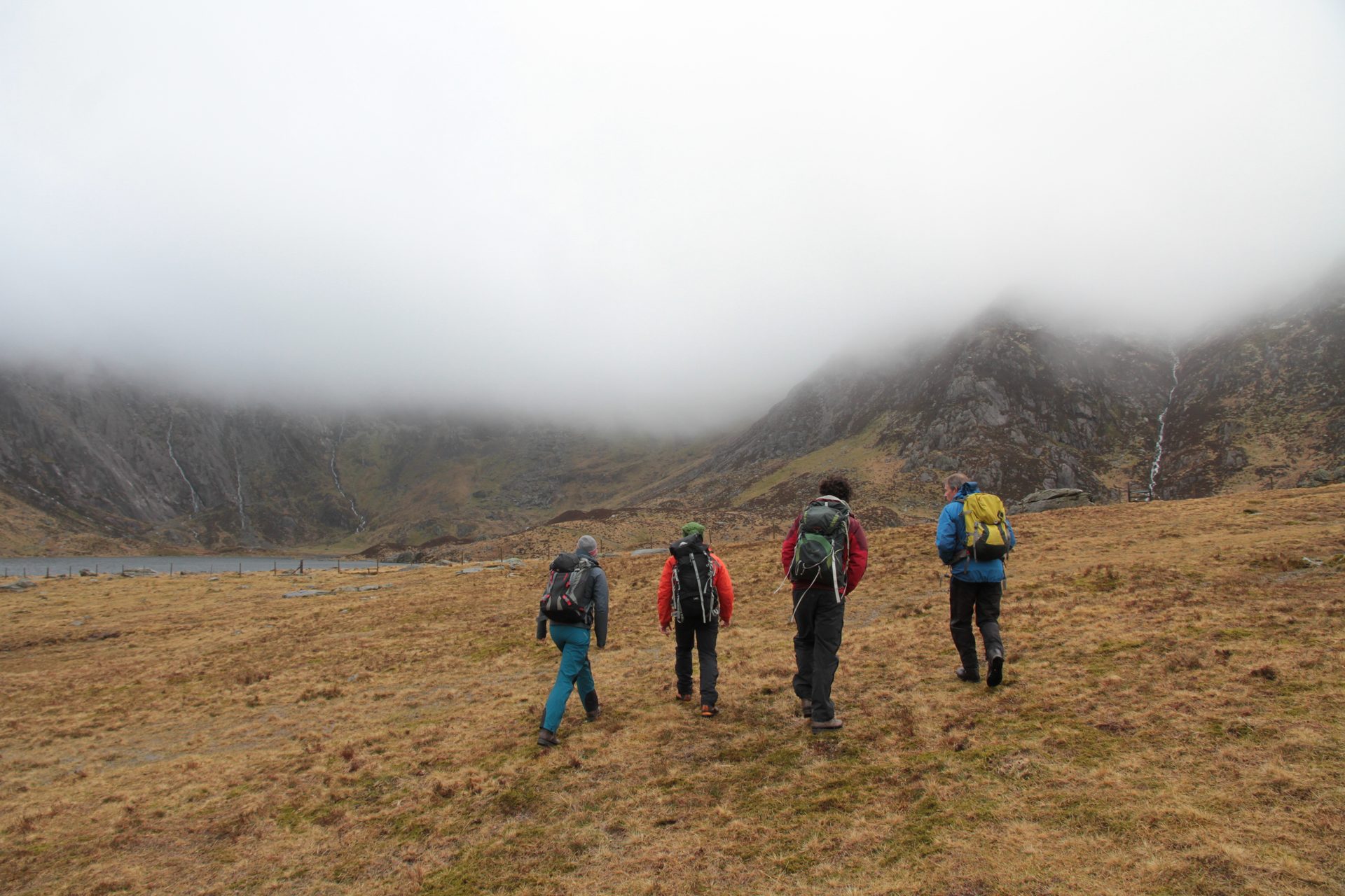 Guided Walks